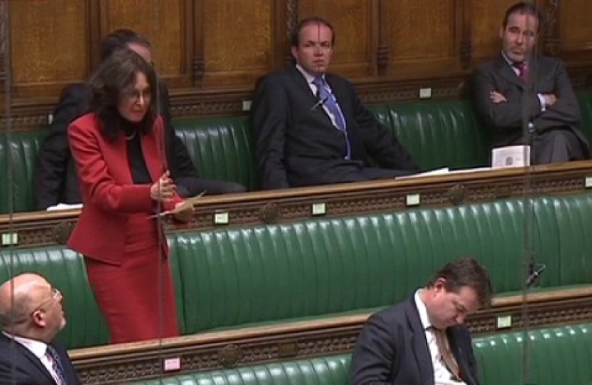 Anne Marie questioning the Chancellor after the Autumn Statement.