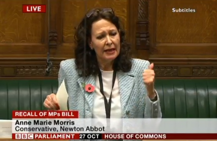 Anne Marie tabled an amendment to the Government's Recall Bill